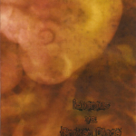 Ichorous/Broken Diode – Malevolence Vol. 1 C24