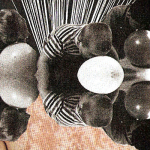 Brume – Glossy Black Fruits C45