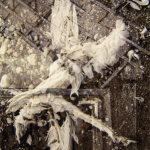 New reviews from Special Interests and Heathen Harvest!!!