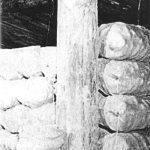 Deterge – Anacoluthon C25