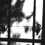 Gnawed/RXAXPXE – Split C60