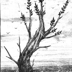 Plastic Boner Band – Cherubinic Wanderer C60