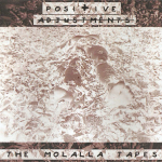 Positive Adjustments – The Molalla Tapes CDr