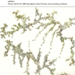 Ophibre – Drone Works for Differing Audio Formats and Encoding Methods CDR