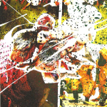 Ophibre – Psyllium Husks C38