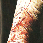 V/A – Untitled C60