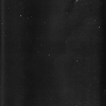 Animal Steel/EUU – Split C30