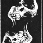 Vehement Caress – Flawed Eternity C40