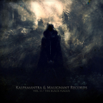 Now Available: V/A – The Malignant Series / Vol. II: The Black Plague