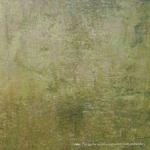 Rale – I Sit By the Window and Watch Walls and Ceiling CD