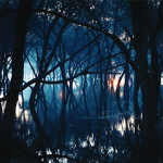 Oneirogen – Kiasma CD