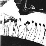 V/A – BG/BTW/HP/ORU July 2013 Tour 3xC20