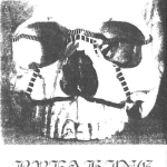 Gnawed / Breaking the Will – Split C40