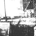 Gnawed – Fissure C60