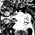 Regosphere / The Vomit Arsonist – Split 7″