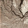 Clon/Christian Galarreta – Indigencia Tecnológica CDR [Sonora Discs]