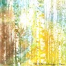 Troum – Ljubimaya | Daur CD [Abgvrd]
